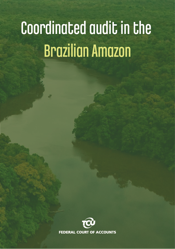 Coordinated Audit in the Brazilian Amazon.png