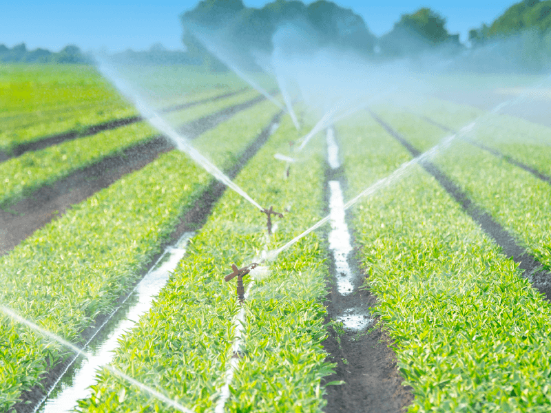 Capa da notícia: "Falta regulamentação para a sustentabilidade de perímetros de irrigação"