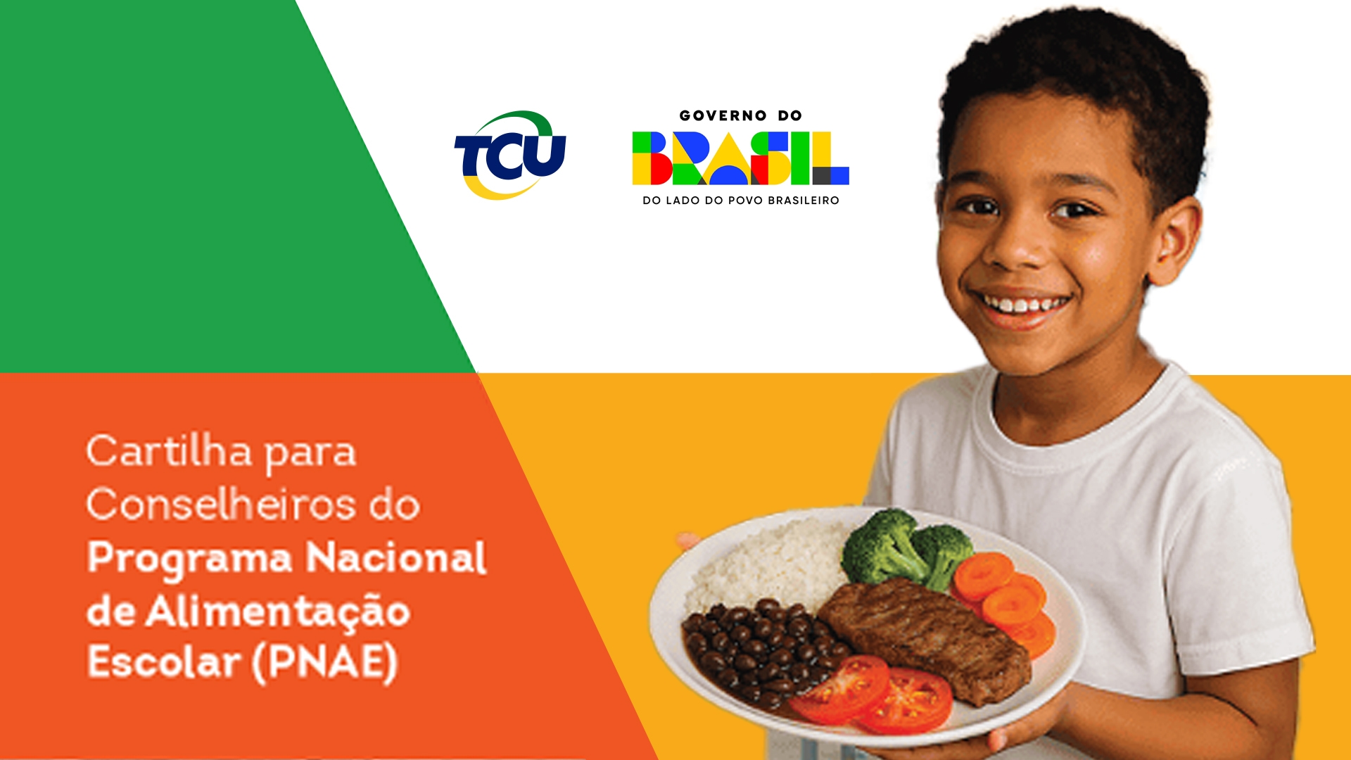pnae - imagem de capa