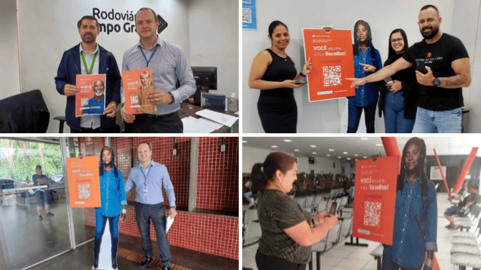 mosaico de fotos que foram usadas na matéria