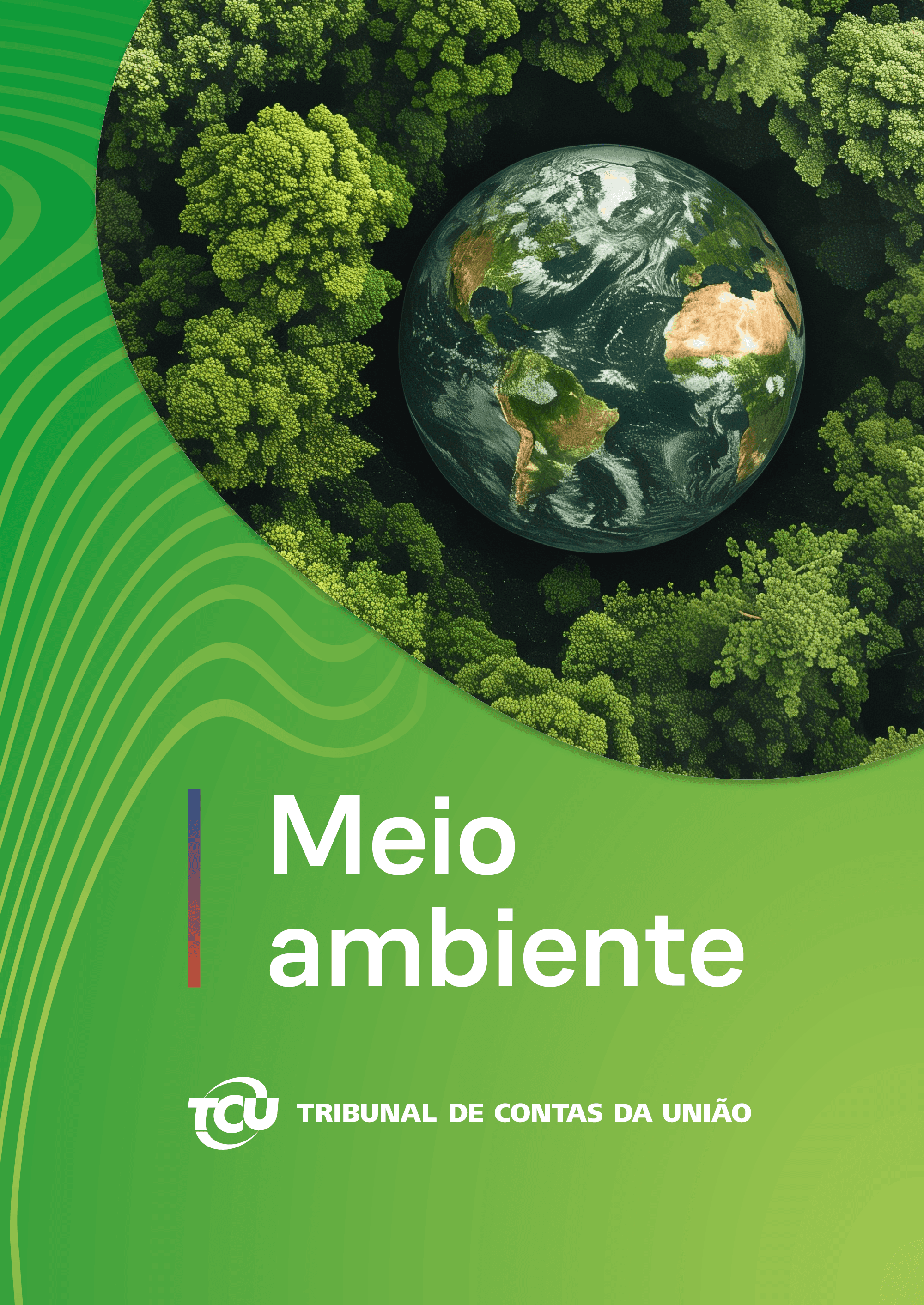 Capa da publicação: Temas fiscalizados em Meio Ambiente