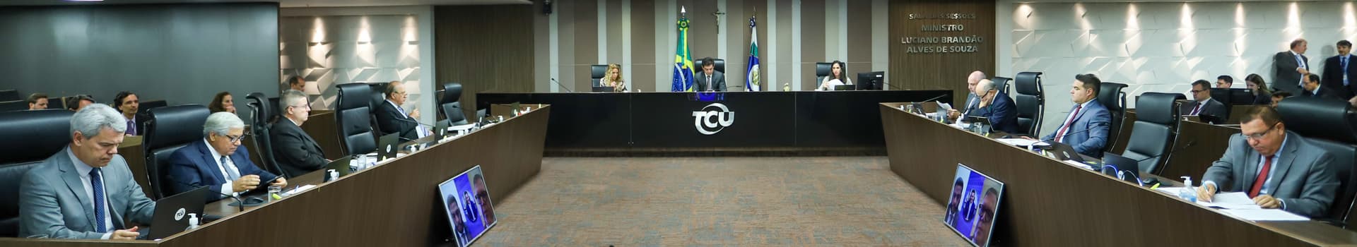 TCU_044_FIG.jpg