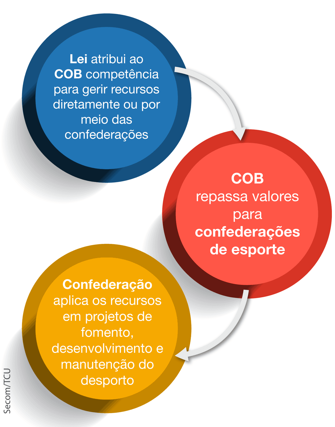 GRAFICO.png
