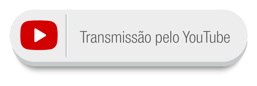 Botao cinza-01.png