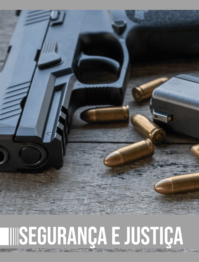 Capa_Controle de Armas de Fogo e de Munições.png