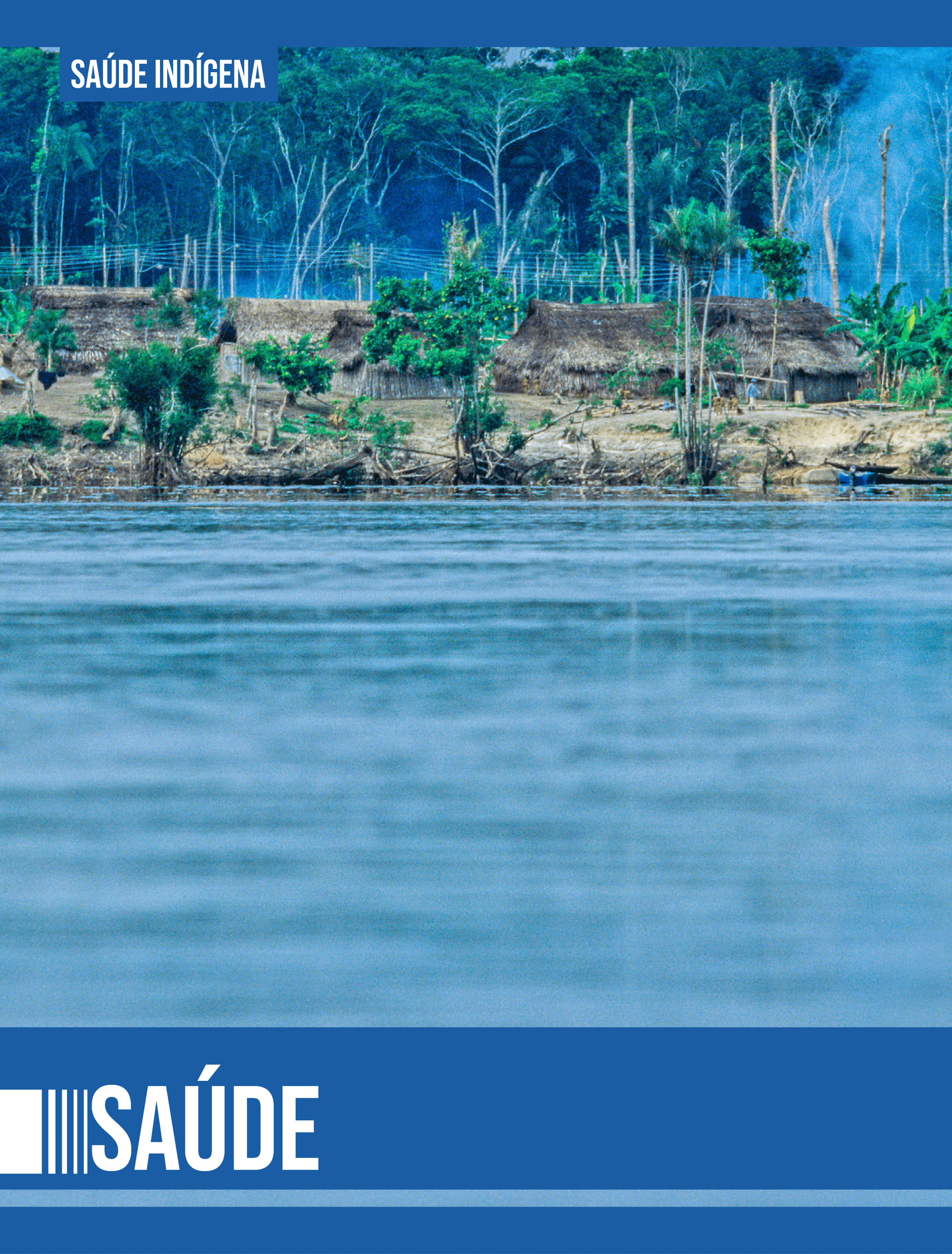 Capa da publicação: Capa Saúde Yanomami.png