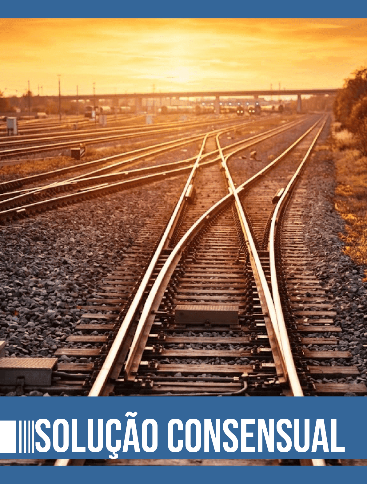 Capa da publicação: Malha Ferroviária Sudeste – MRS Logística.png
