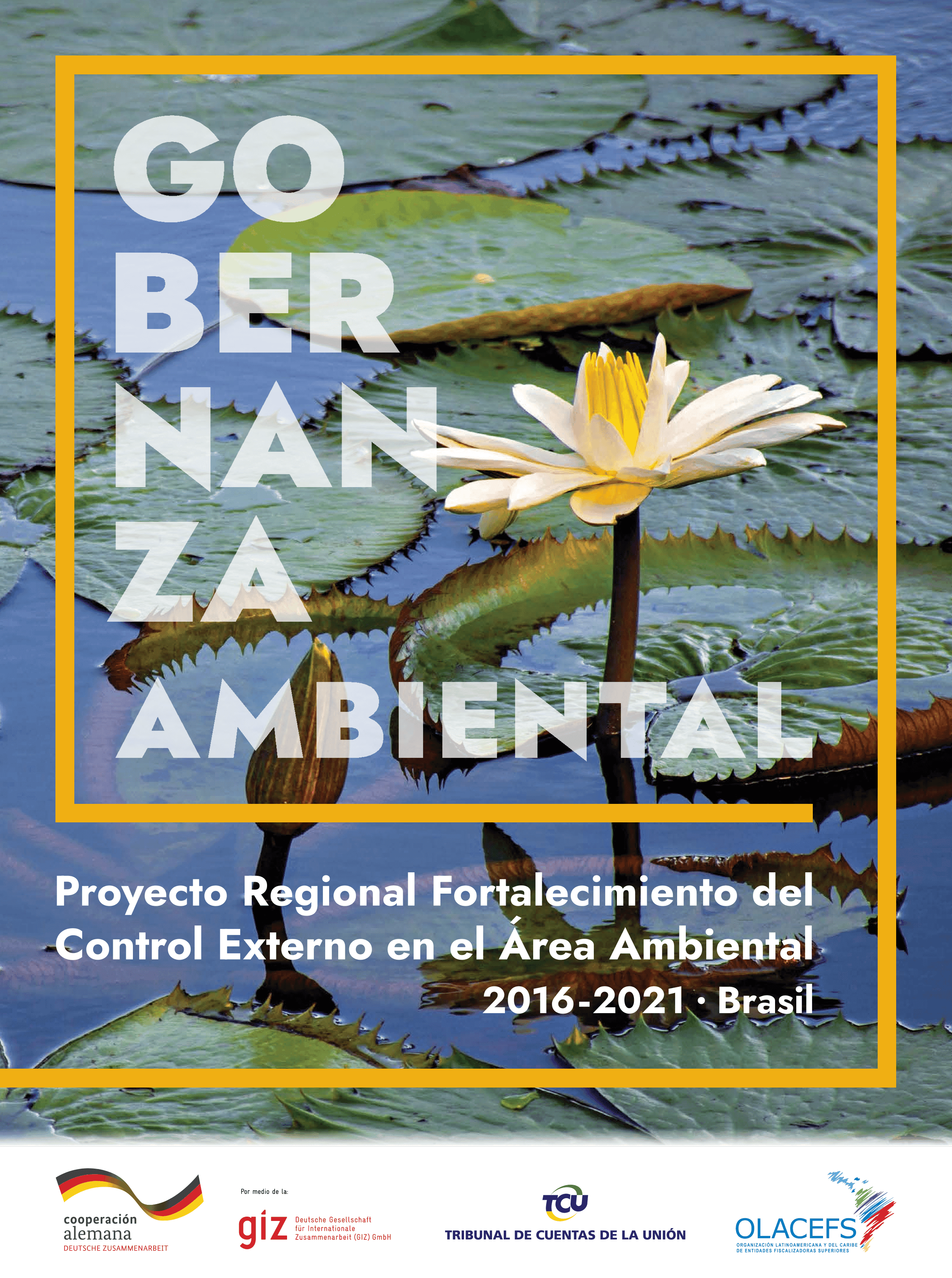 Capa da publicação: 