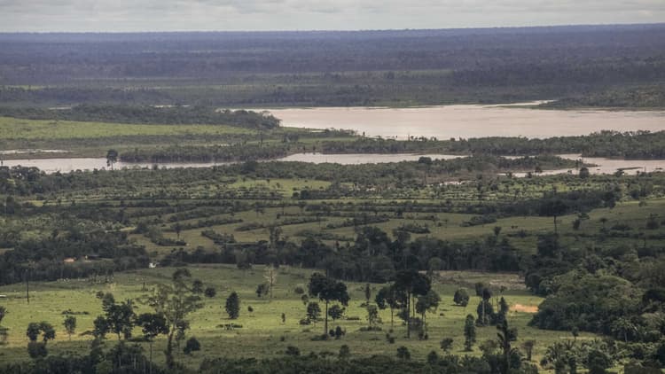 Aprovada continuidade de licitação para restaurar Floresta Nacional do Bom Futuro