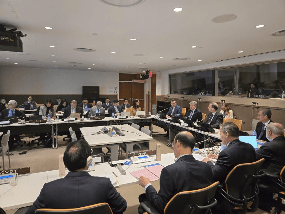 UN Panel of External Auditors