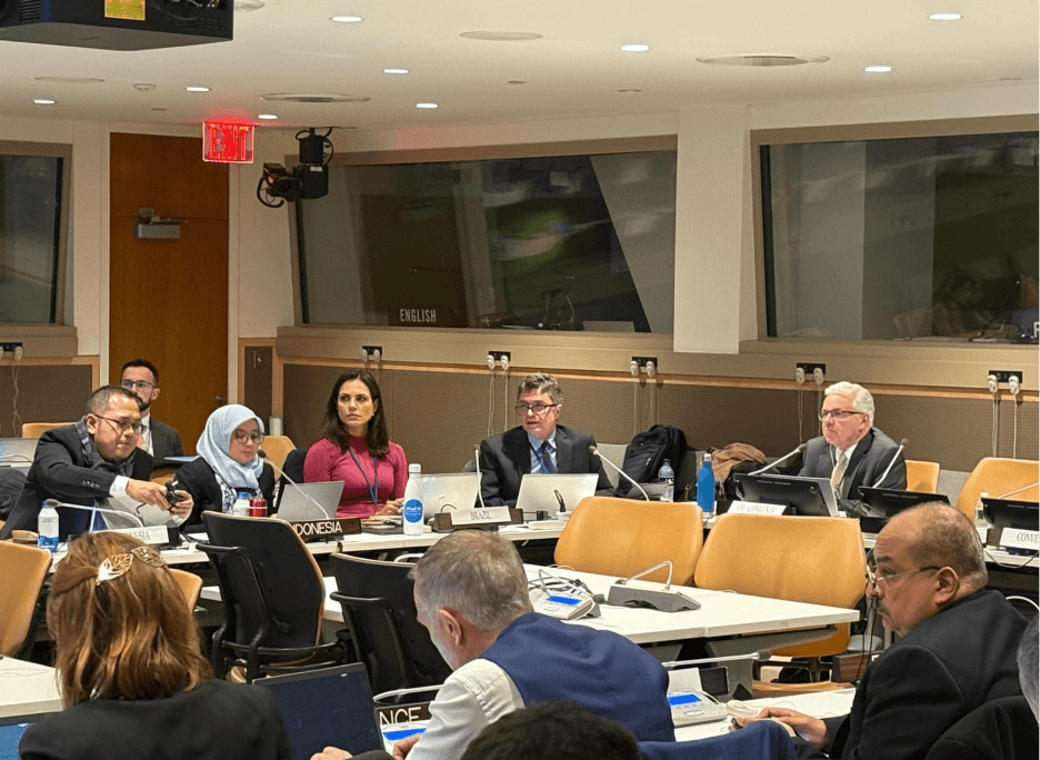 UN Panel of External Auditors