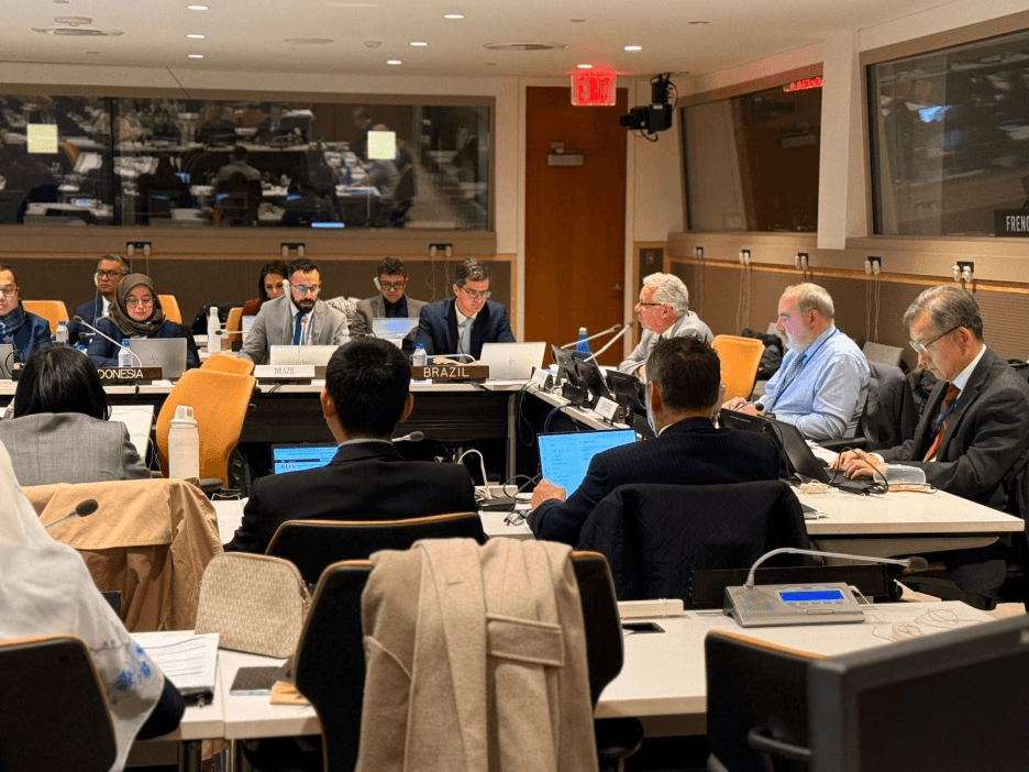 UN Panel of External Auditors