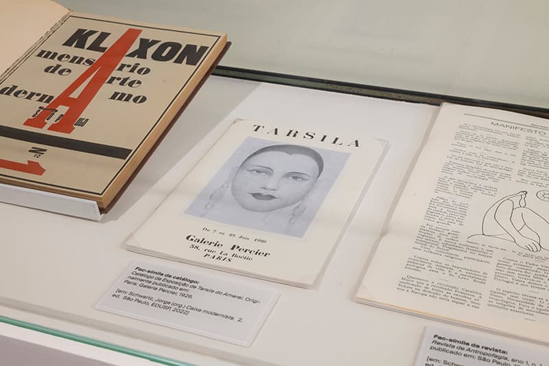 tarsila - 05