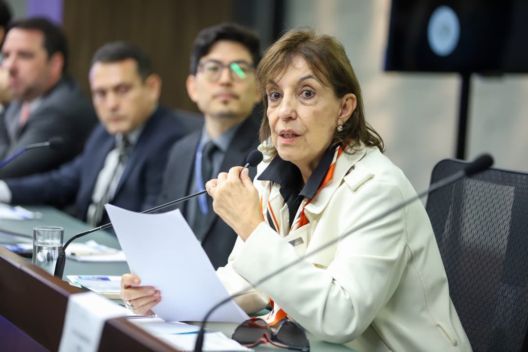sylvia anjos