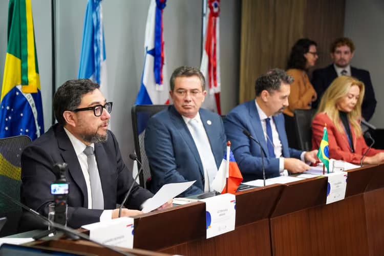 Consejo Directivo