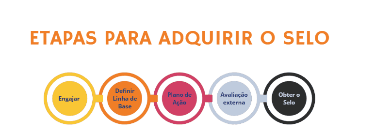 selo_pnud_etapas.png