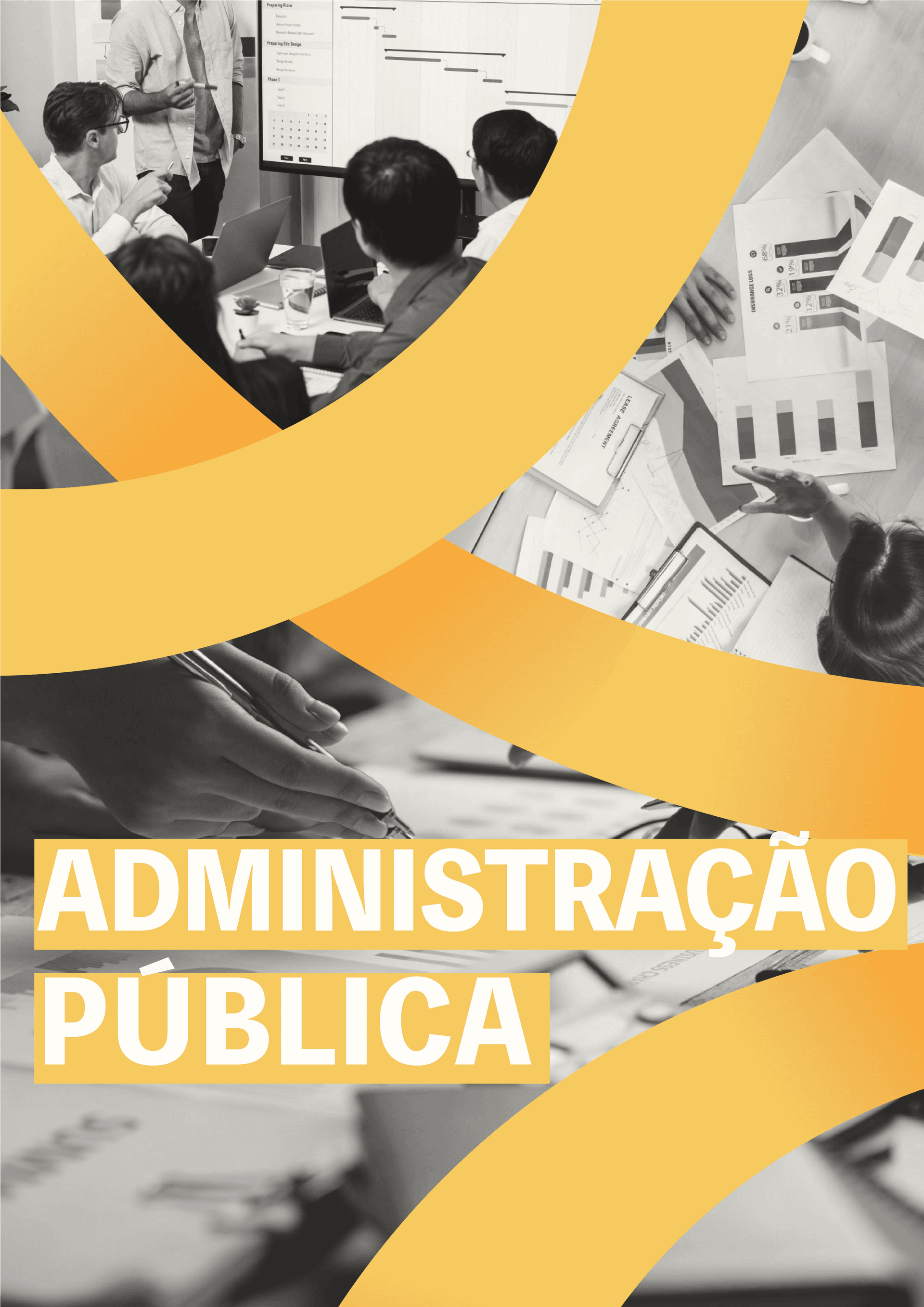 Capa da publicação: CapasFichasSintese_Administracao Publica.png
