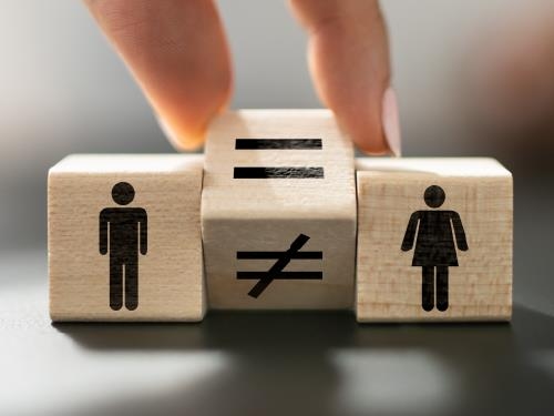 Capa da notícia: "Brasil enfrenta desafios para alcançar igualdade de gênero em cargos de liderança no setor público"