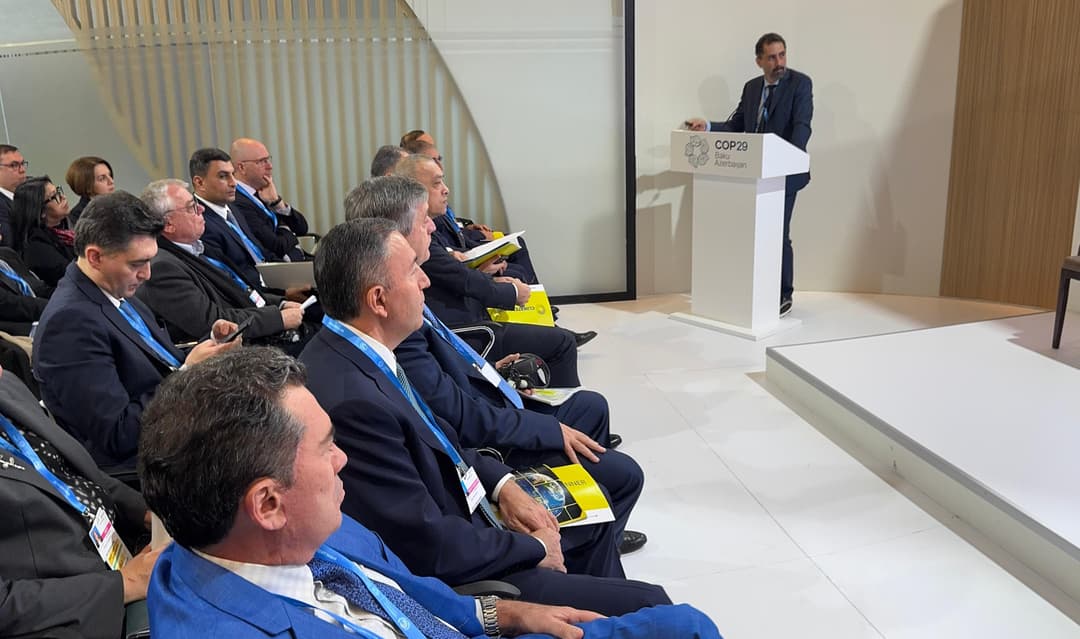 WhatsApp Image 2024-11-14 at 05.11.59.jpeg