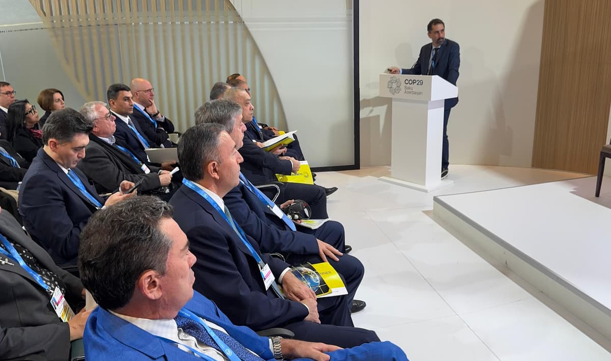 WhatsApp Image 2024-11-14 at 05.11.59.jpeg