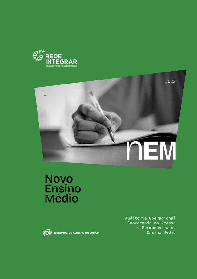 Sumario-Executivo-NEM_CAPA.png