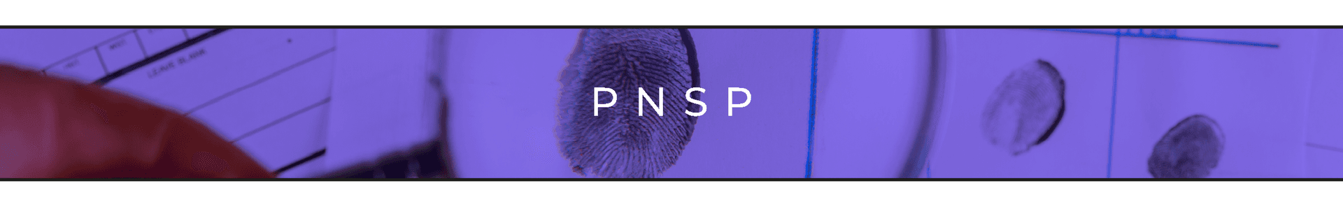 25_11 - Aviso de Pauta template-PNSP-01.png