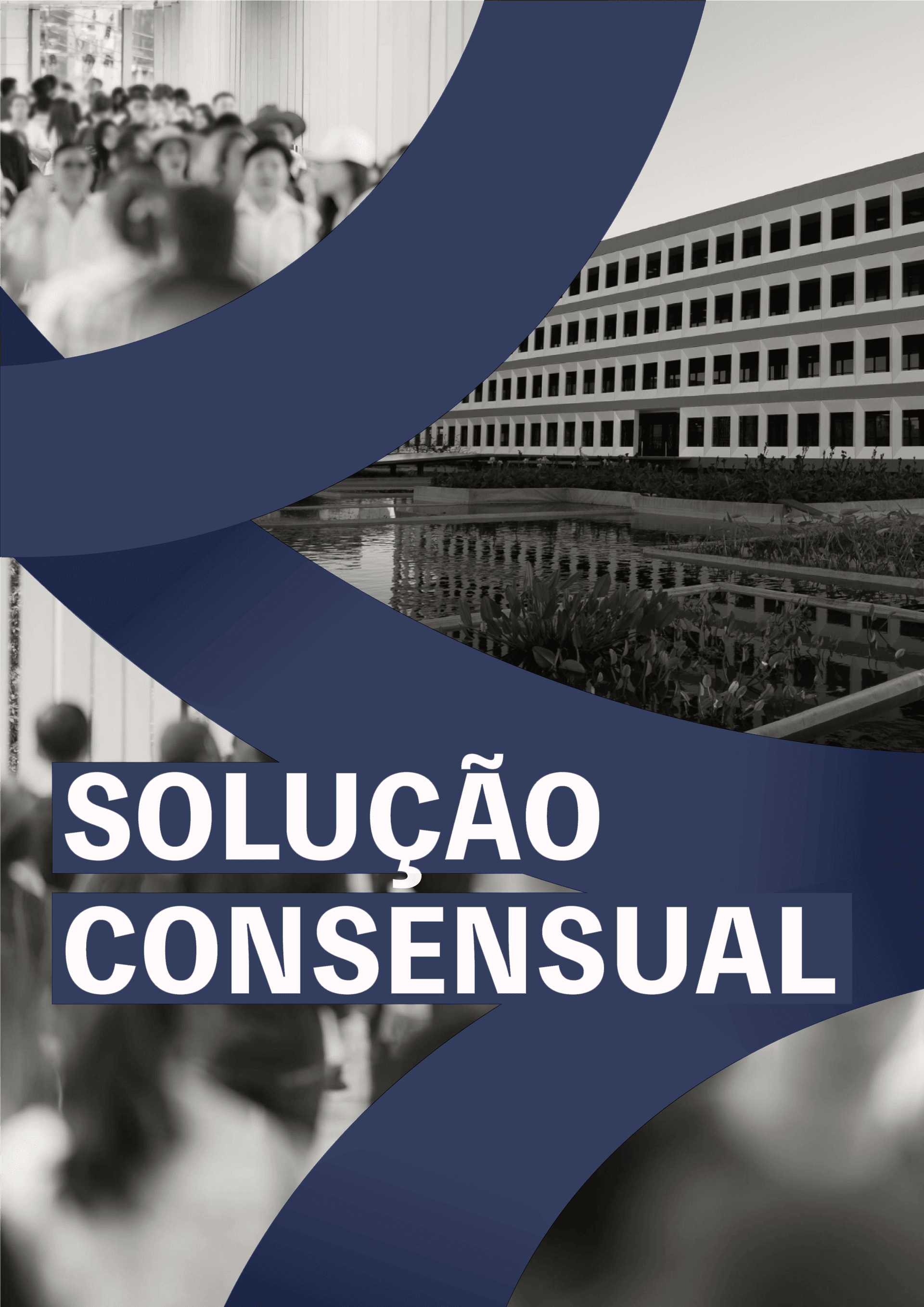 Capa da publicação: CapasFichasSintese_Solucao-Consensual_v2.png