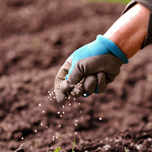 Capa da notícia: "Auditoria do TCU acompanha elaboração do Plano Nacional de Fertilizantes"