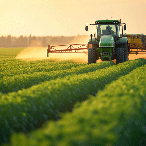 Capa da notícia: "Projetos de inovação aberta para captação de recursos da Embrapa necessitam de melhorias"