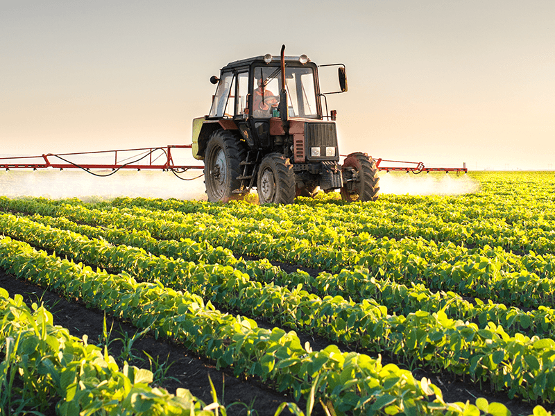 Capa da notícia: "Ministério da Agricultura deve aprimorar seu processo de melhoria regulatória"