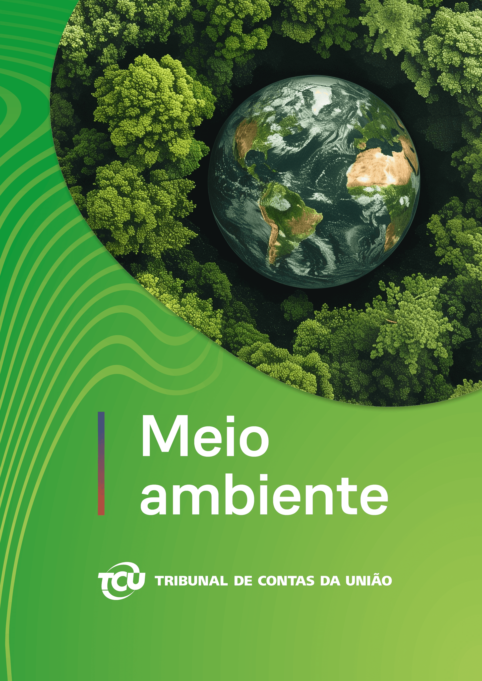 Capa da publicação: Capa-Fichas-síntese_MEIO-AMBIENTE 1.png