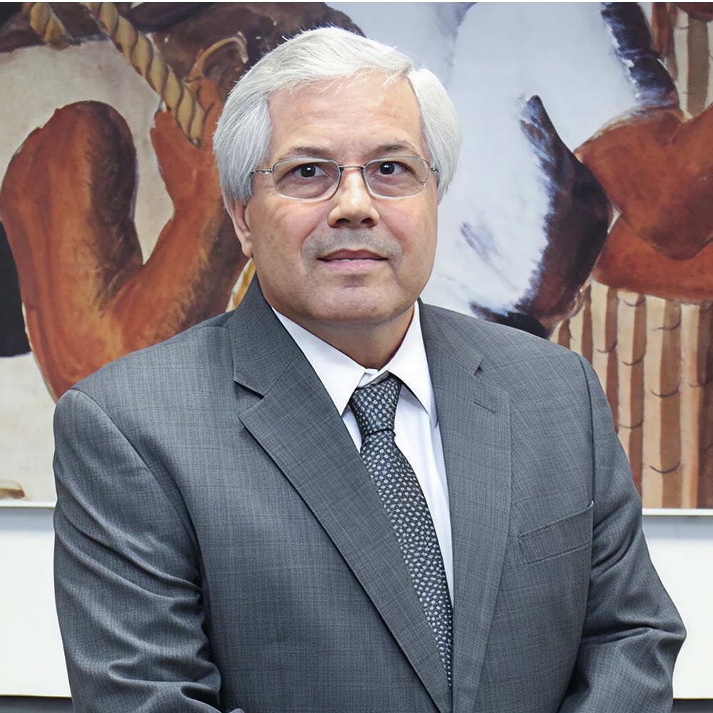 Ministro-Substituto Augusto Sherman Cavalcanti