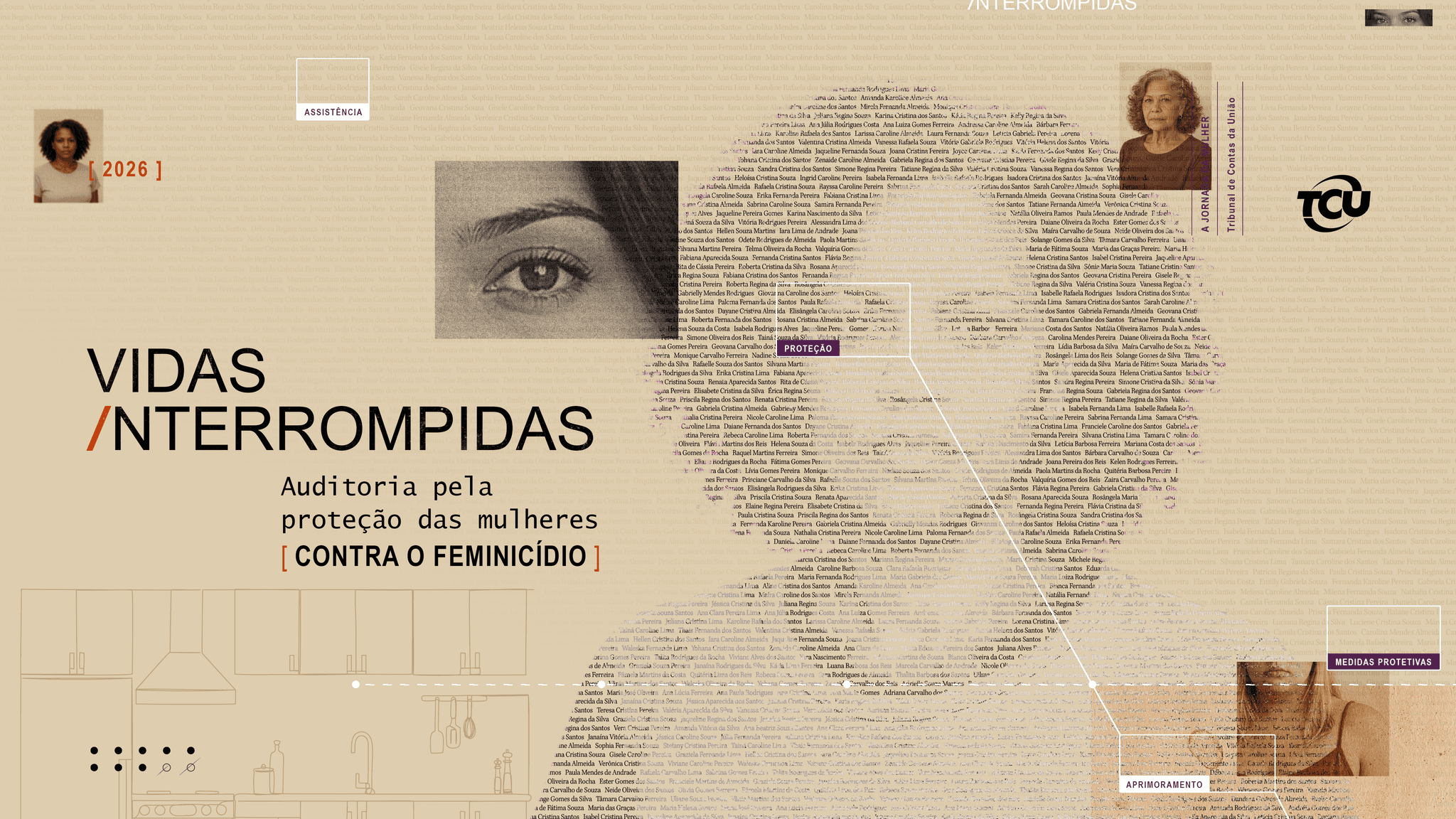 Identidade da auditoria "Vidas Interrompidas"