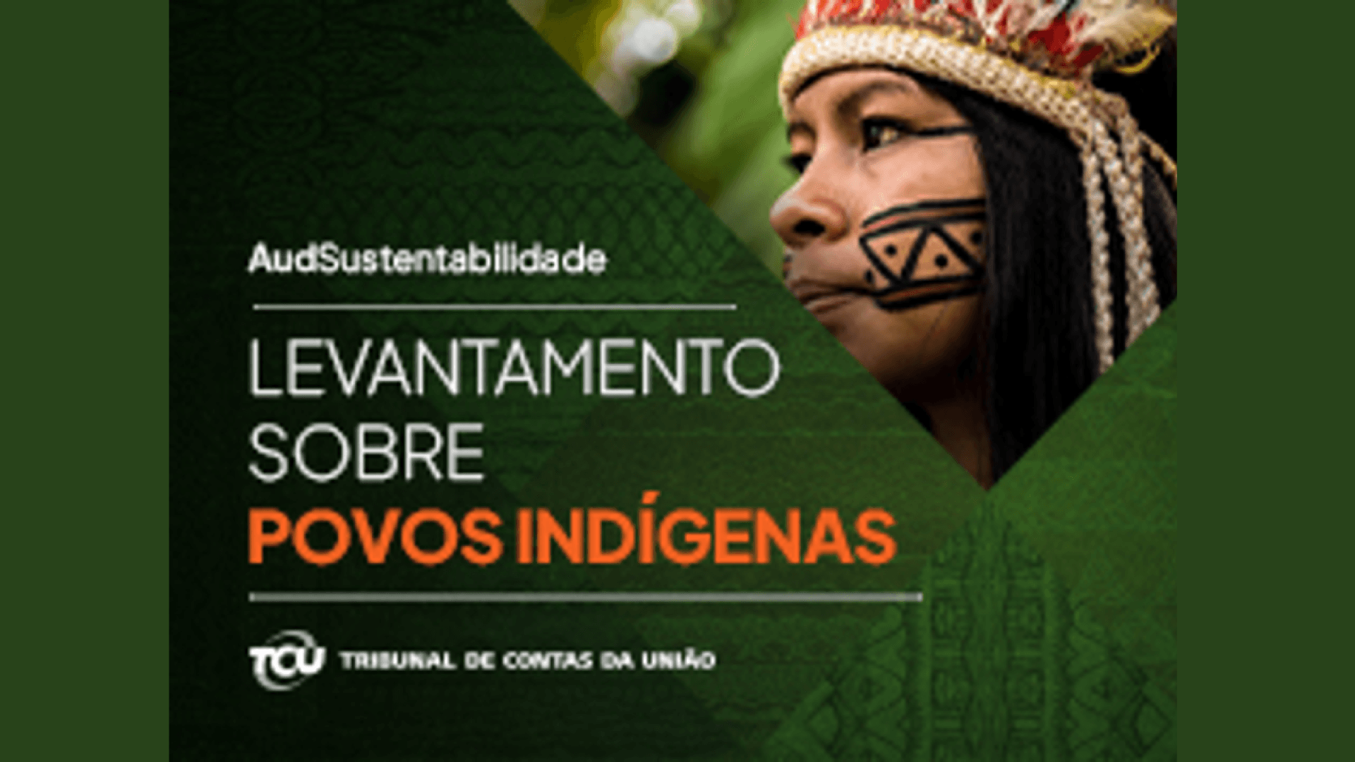 povos indigenas