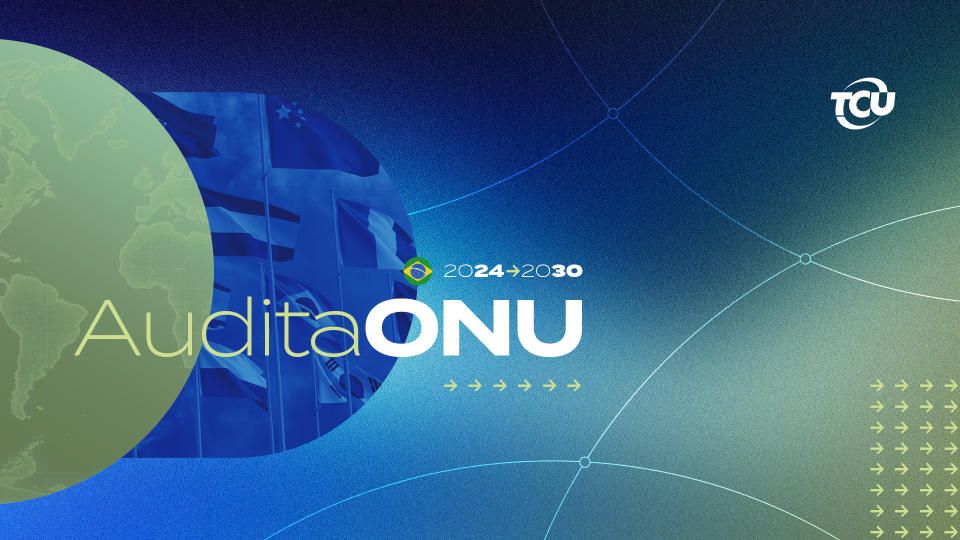 AuditaONU.webp