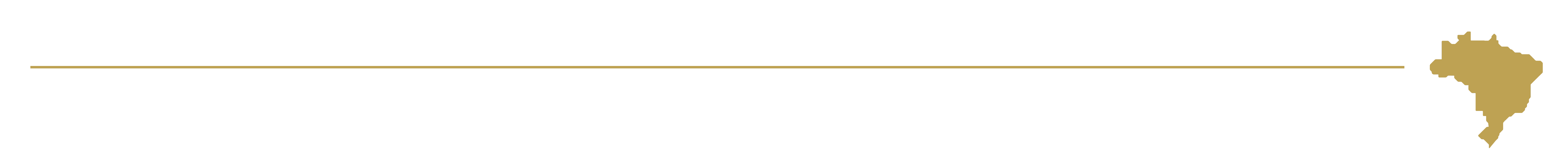 anexo_separador.png