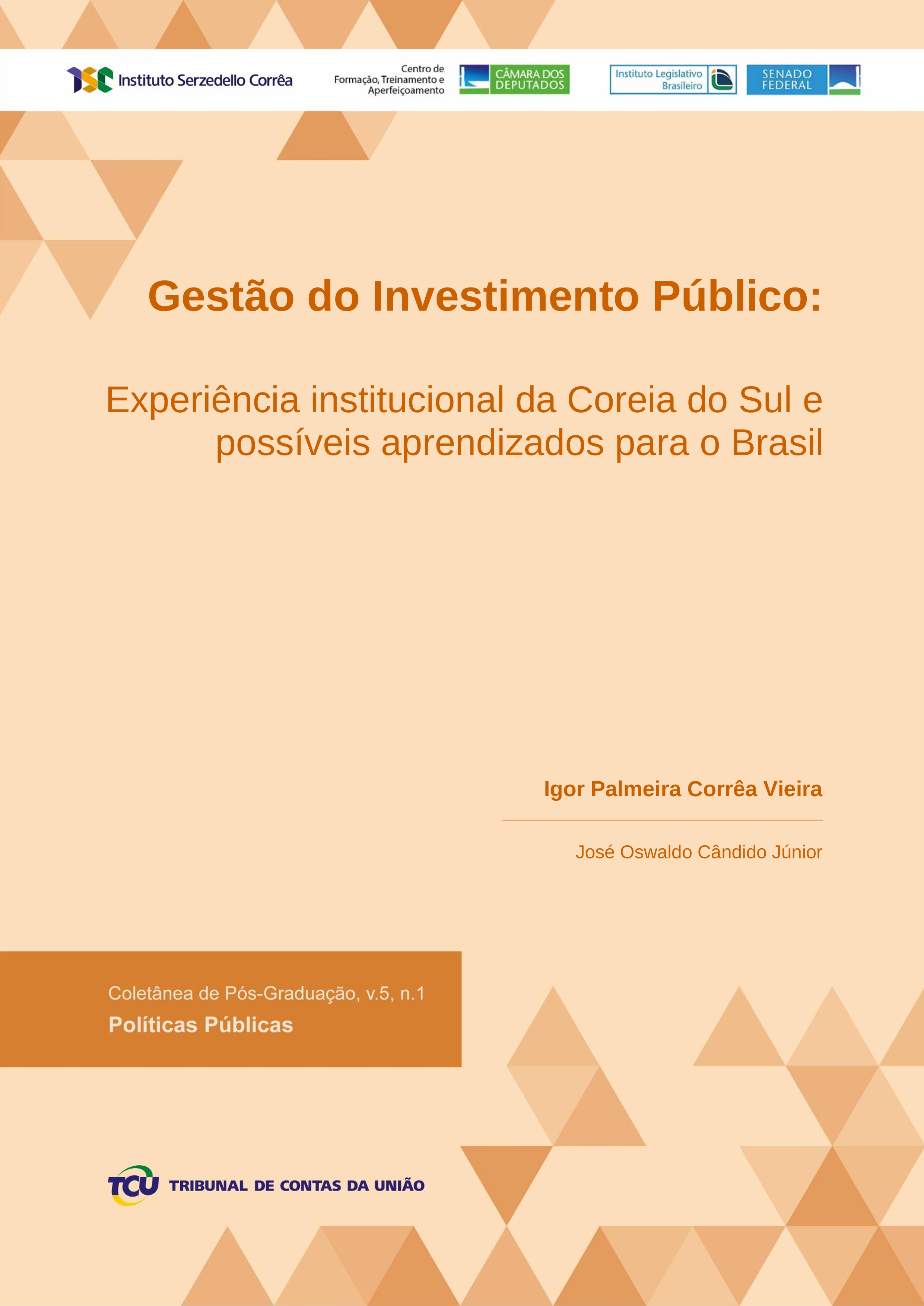 veira_ i. p. c. gestao do investimento publico.png