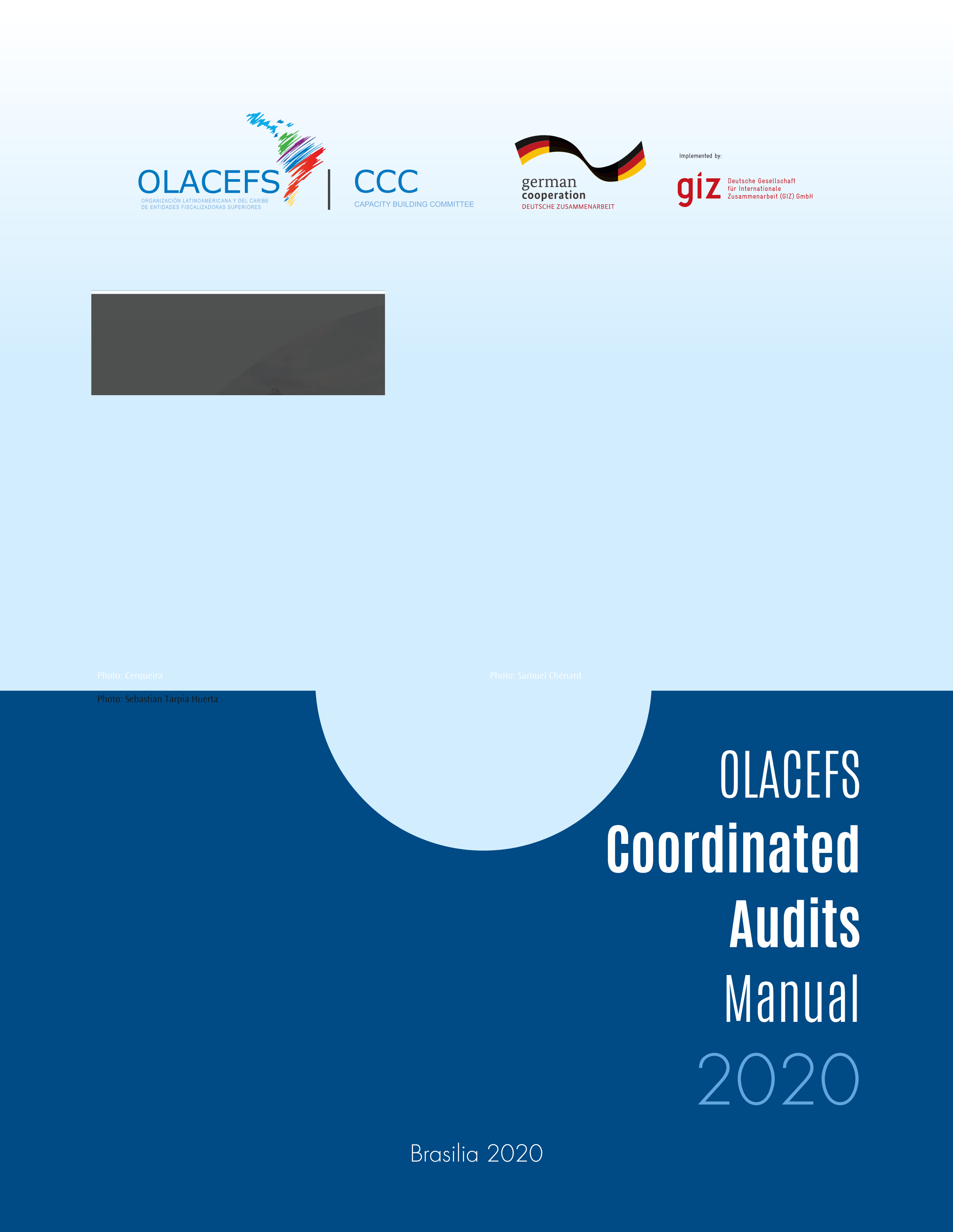 olacefs-coordinated-audits-manual_2020.png