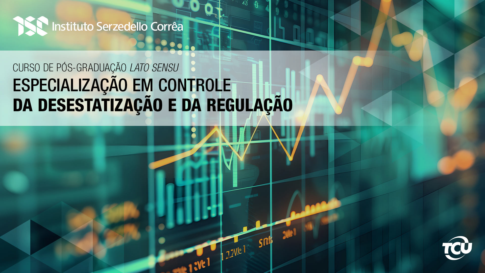 Especialização em Controle da Desestatização e da Regulação – 2025