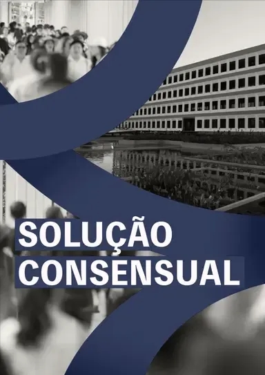 Capa da publicação: "Fichas-Síntese Solução Consensual"
