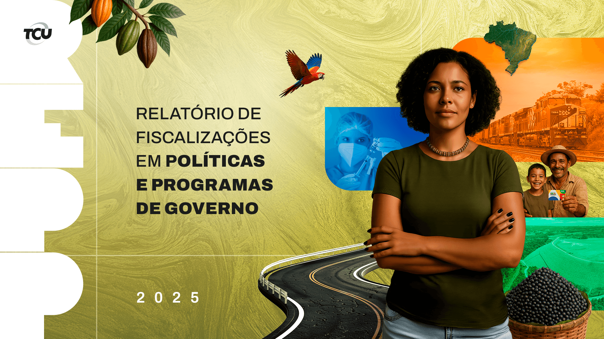 Relatório de Fiscalizações em Políticas e Programas de Governo de 2025